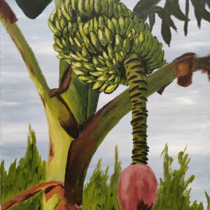 le bananier
