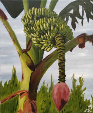 le bananier