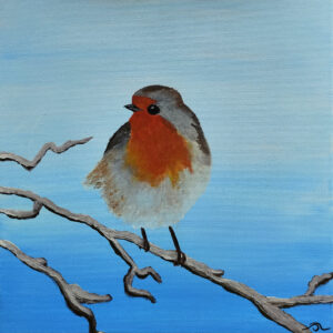 le rouge gorge sous la neige