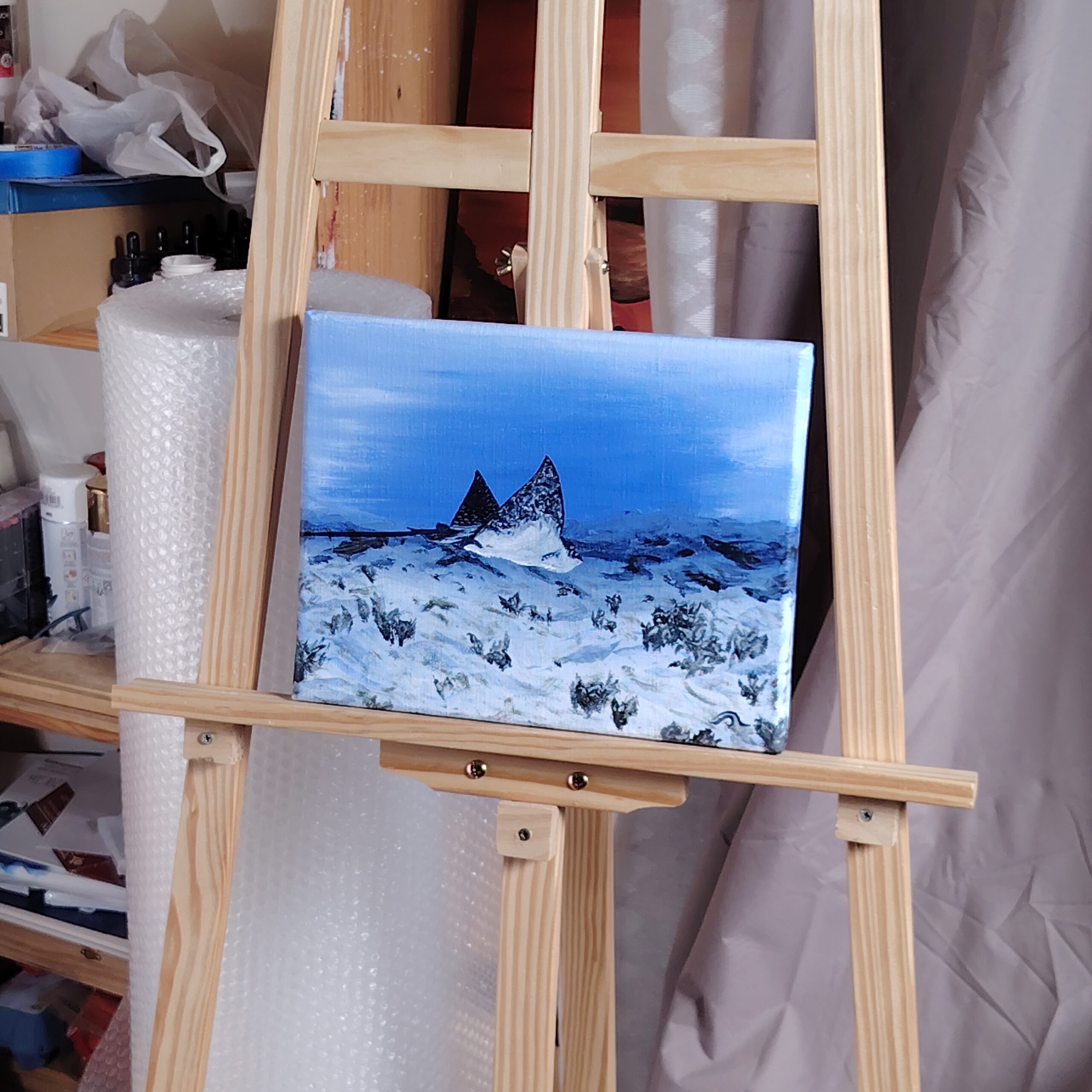 la raie léopard – Image 2