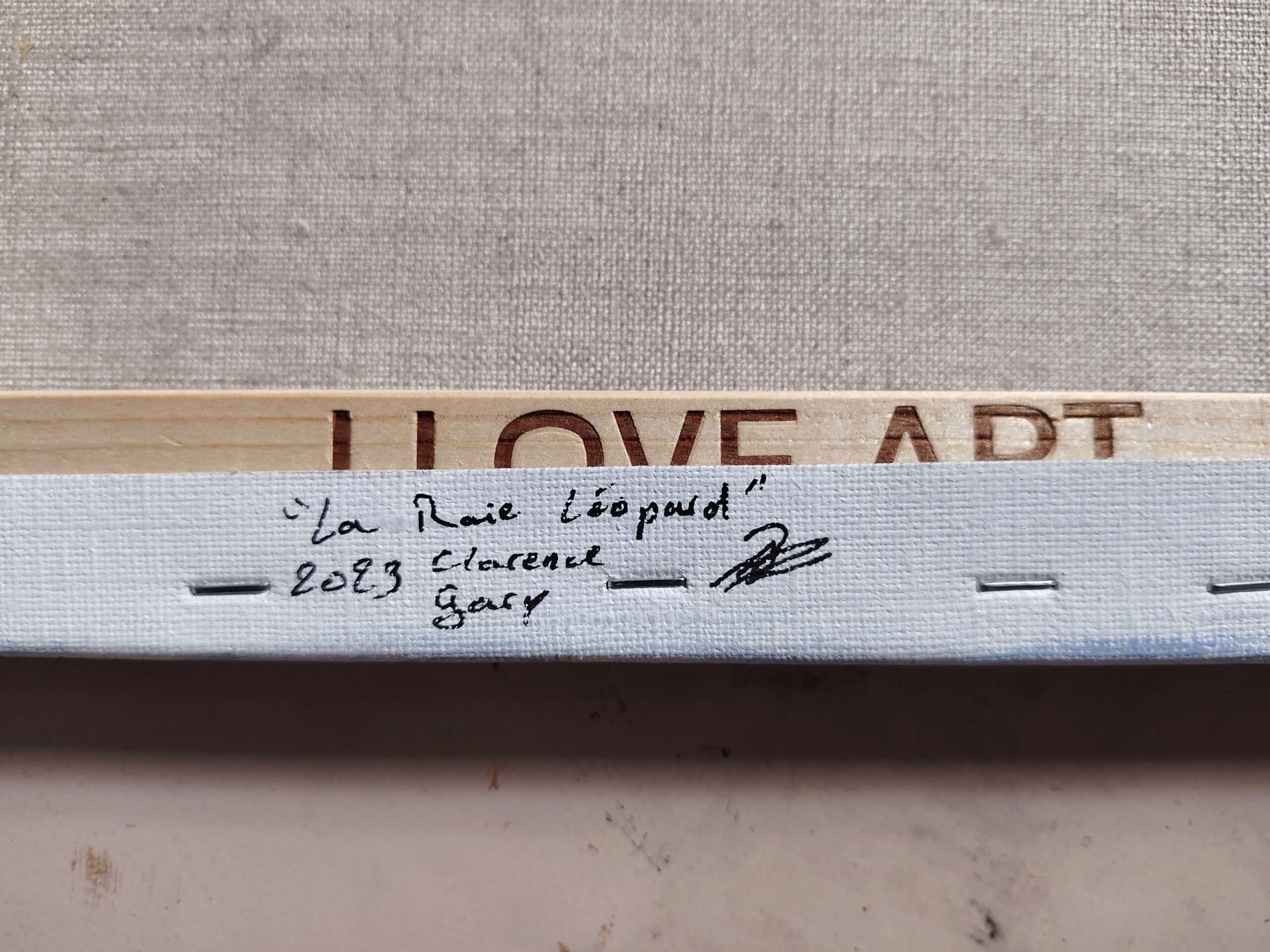 la raie léopard – Image 4