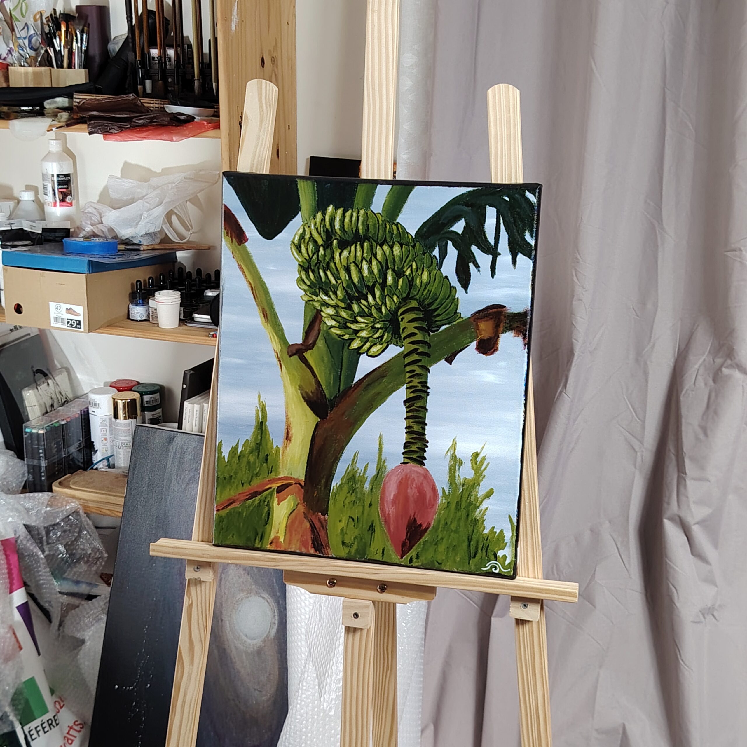 le bananier – Image 2