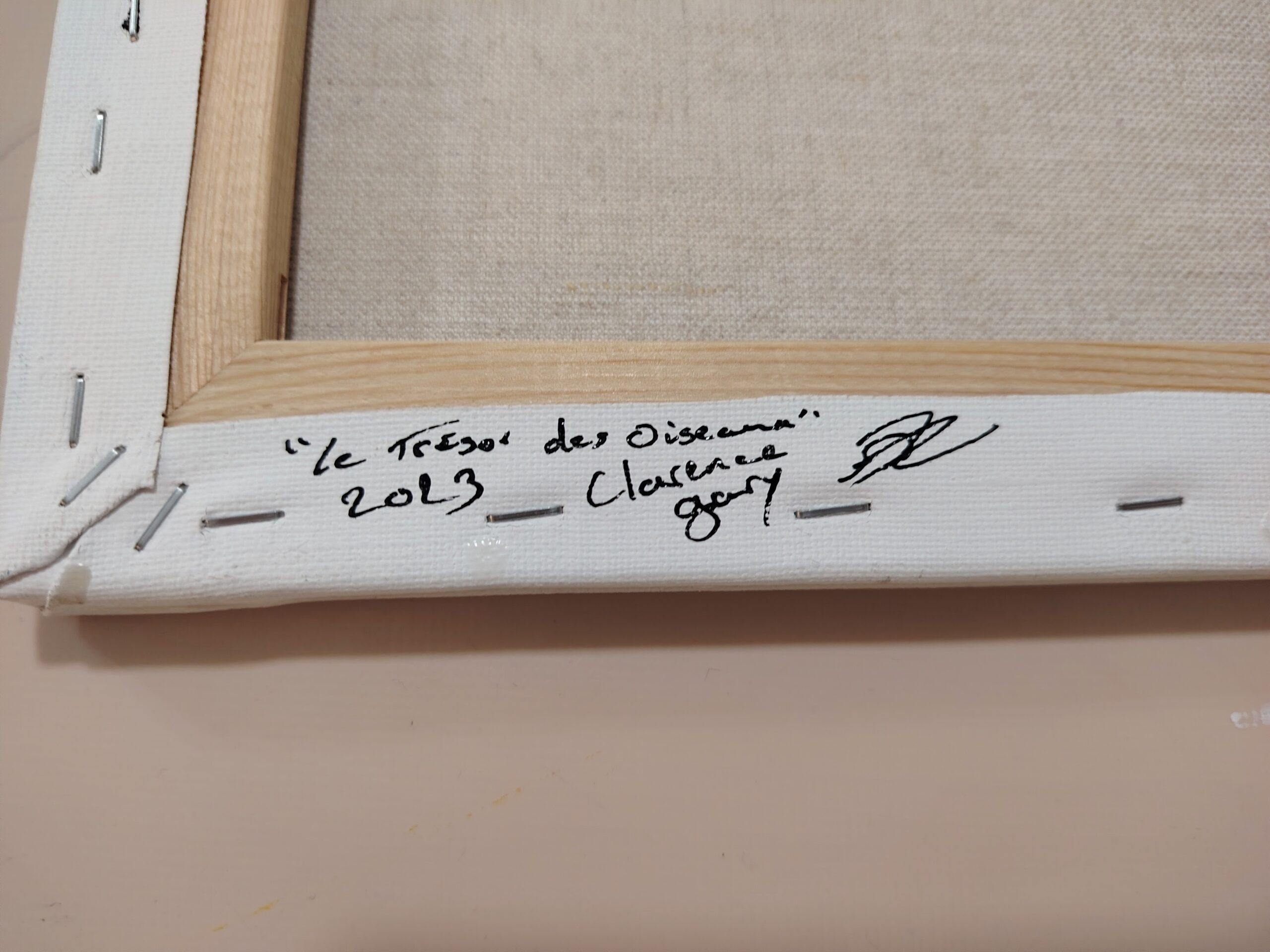 le trésor des oiseaux – Image 4